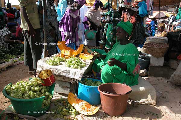 WIRTSCHAFT / ECONOMY - Handel / Retail - Senegal