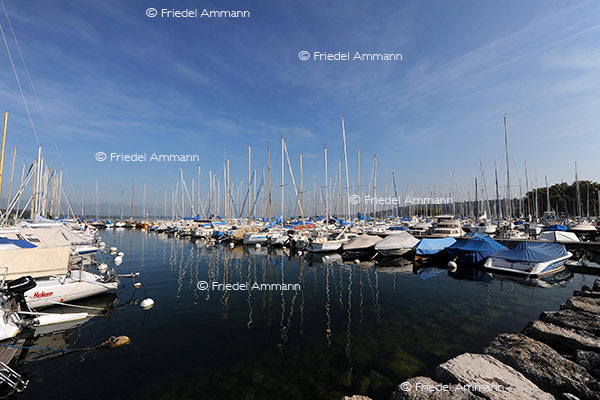 WIRTSCHAFT / ECONOMY - Mobilität / Mobility - Schifffahrt / Shipping – Jachthafen / Marina, Genf, Genève