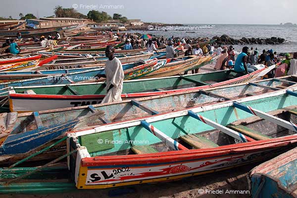 WIRTSCHAFT / ECONOMY - Mobilität / Mobility - Schifffahrt / Shipping – Fischerboote / Fishingboats - Dakar, Senegal