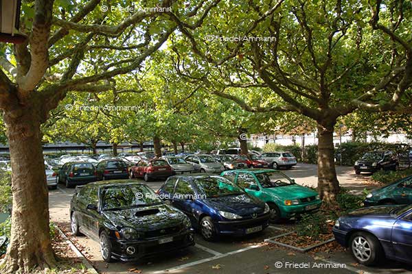 WIRTSCHAFT / ECONOMY - Mobilität / Mobility - Strasse / Road - Basels schönster Parkplatz / most beatiful car park in Basel