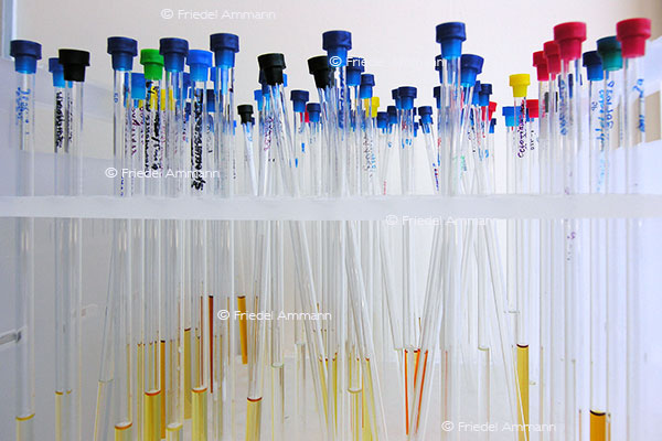 WIRTSCHAFT / ECONOMY - Pharma / Chemical Industry – Forschung / Research