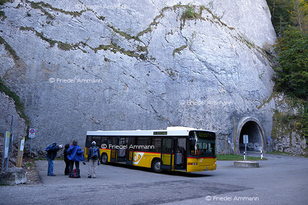 WIRTSCHAFT / ECONOMY - Service Public - Die Schweizer Post / Swiss Post Bus