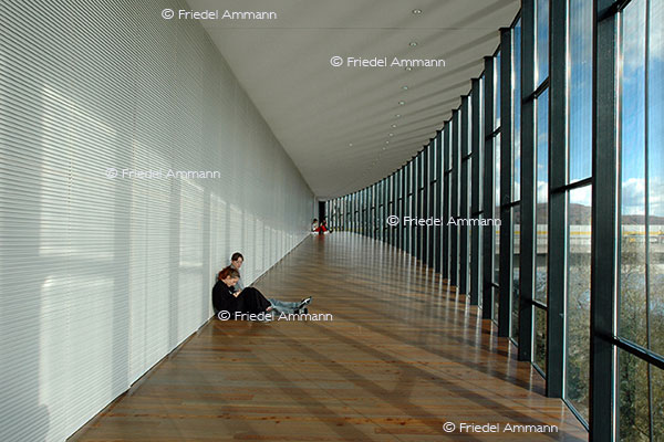 WISSEN - Schule, Berufsbildung - Tinguely-Museum, Basel
