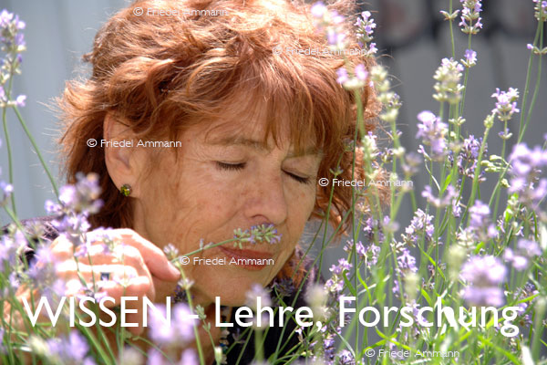 WISSEN - Lehre, Pflanzen-Forschung