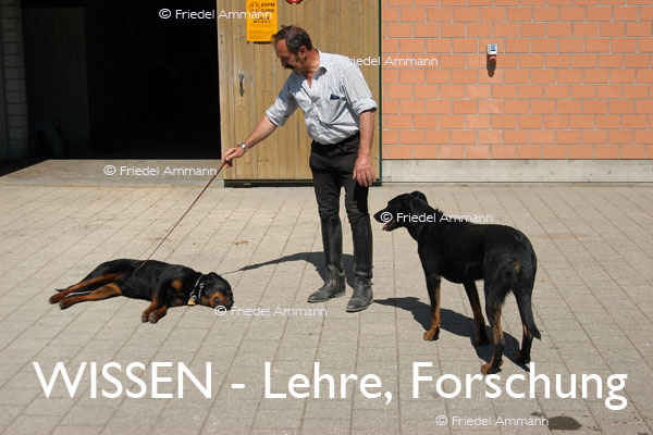 WISSEN - Lehre, Tierverhaltens-Forschung