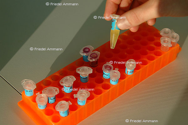 WISSEN - Chemie, Pharma Forschung 1