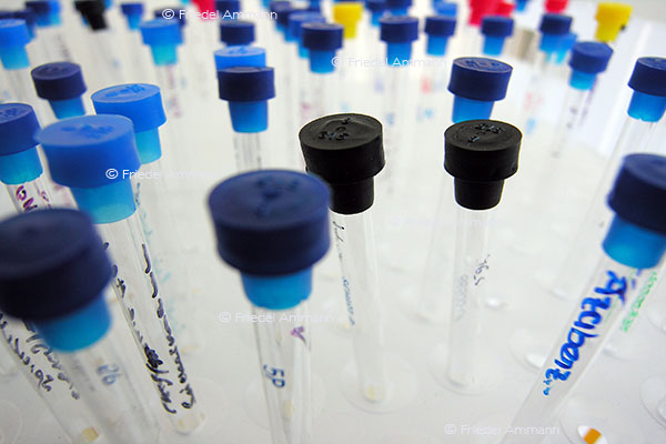 WISSEN - Chemie, Pharma Forschung 1