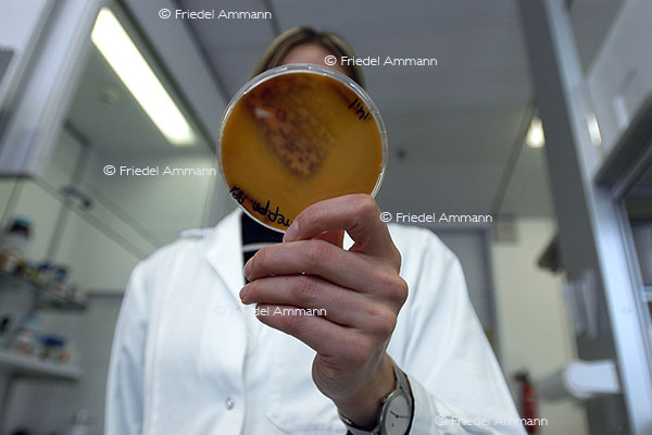 WISSEN - Chemie, Pharma Forschung 1 - Basilea Pharmaceutica, Basel