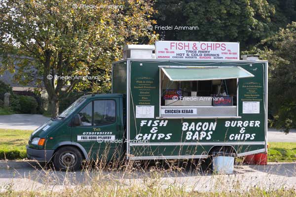 WISSEN – Gesundheit / Health - Ernährung