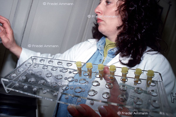 WISSEN - Kriminalwissenschaften - DNA-Proben